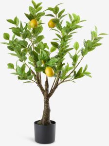 Cây trang trí | GRANSANGER | nhựa/xi măng | xanh lá | C95cm