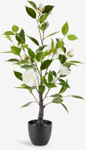 C&acirc;y trang tr&iacute; | SOLOPGANG | nhựa PP/th&eacute;p | xanh/trắng | &Oslash;40xC80cm
