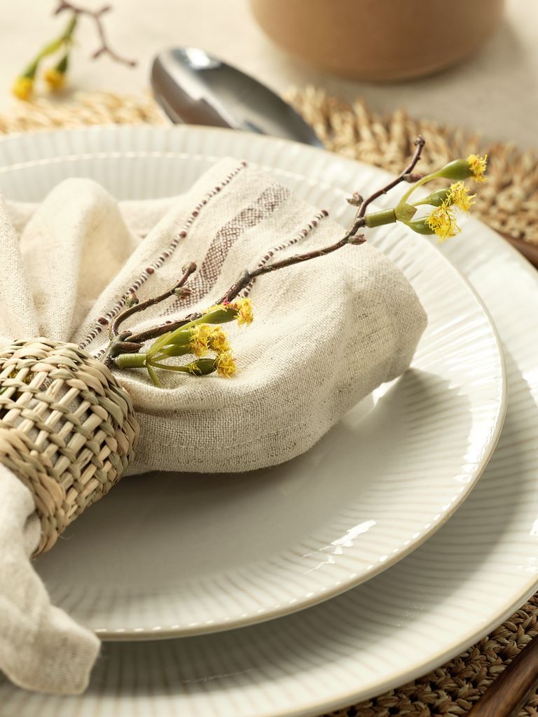 Khăn ăn cotton | KASTANIE | màu tự nhiên | R40xD40cm | bộ 2 chiếc