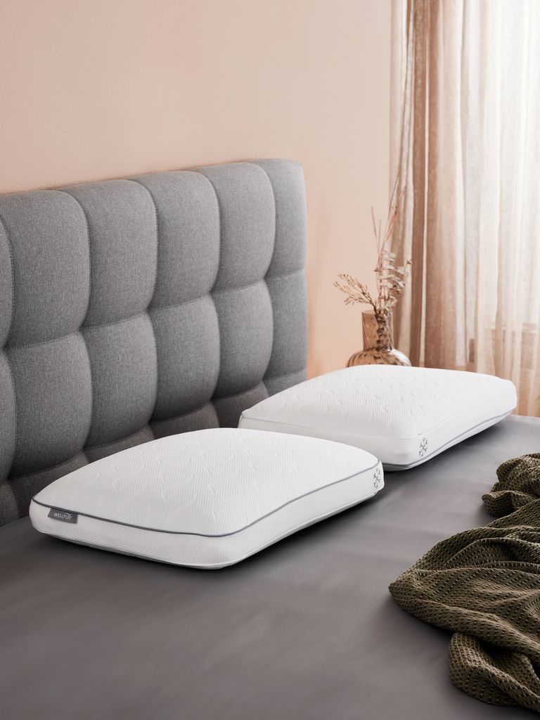 Ruột gối memory foam | WELLPUR VARDO | trắng | R40xD60xC13cm