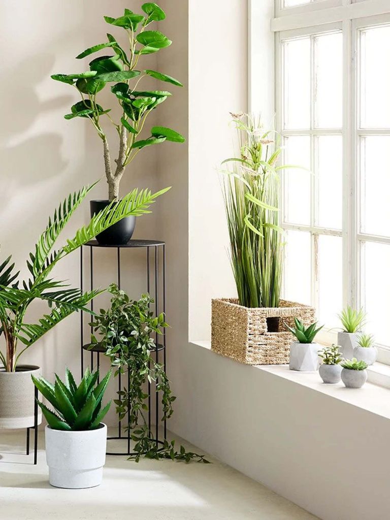 Cây trang trí | TORGEIR | nhựa/ ximang | nhiều màu | R8xD8xC19cm