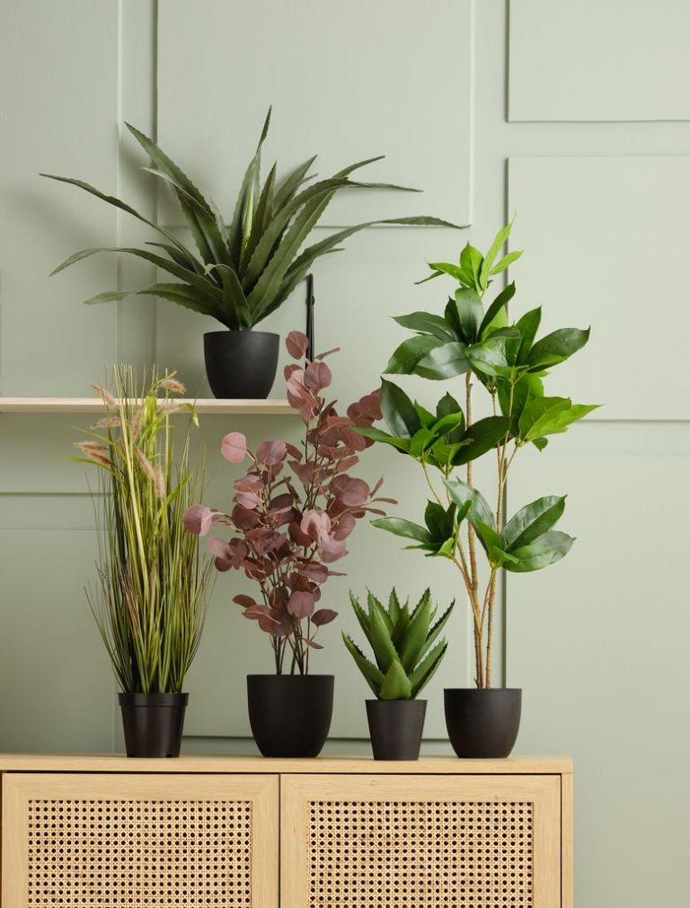 Cây trang trí | THEO | xi măng/PE | đen/tím | C70cm