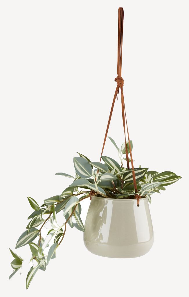 Chậu cây | MARVIN | gốm dolomite | xanh lá/nâu | Ø15xC12cm