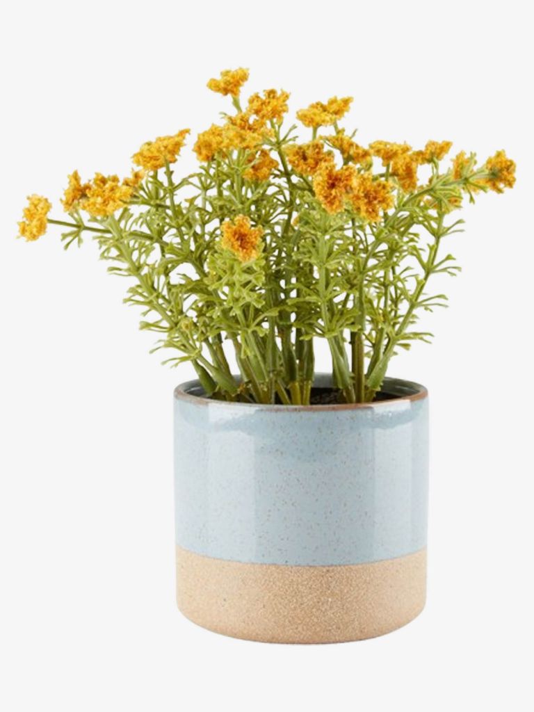 Cây trang trí | KALLE | nhựa PE/xi măng | vàng | Ø13xC16cm 