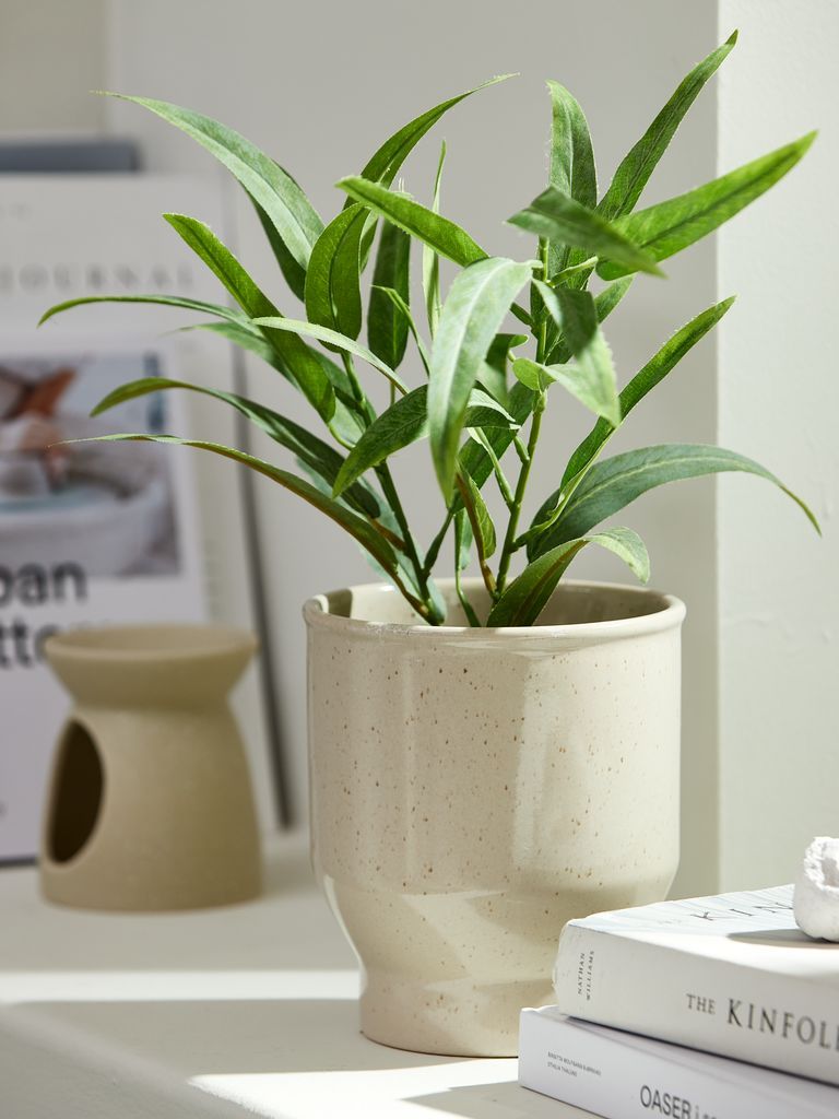 Cây trang trí | LARSSON | xi măng/nhựa PE | xanh/đen | Ø11xC43cm