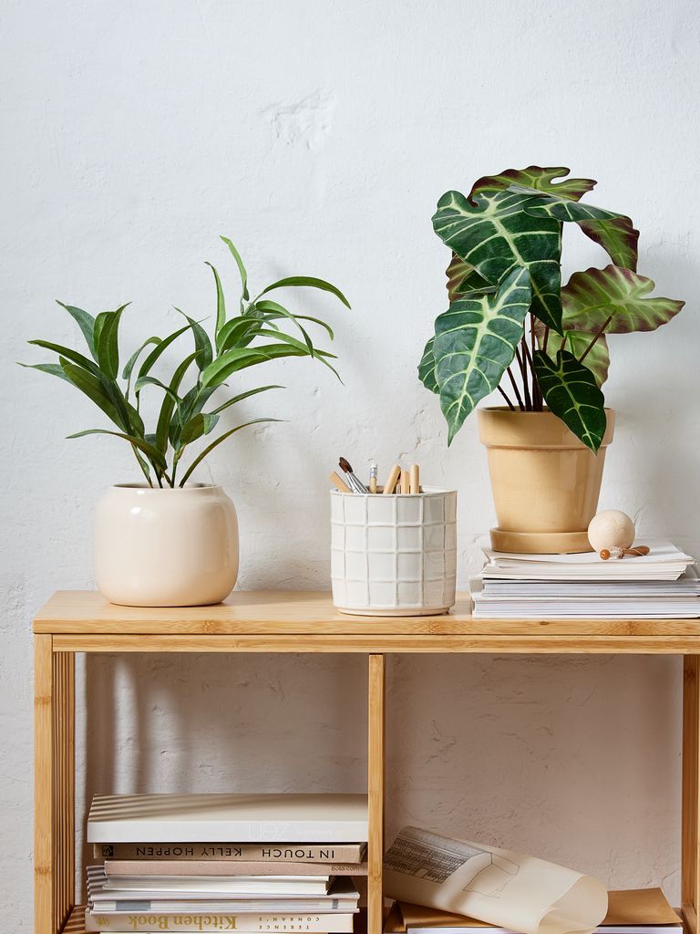 Chậu cây | MARCUS | polyester/sứ | be | Ø16xC13cm