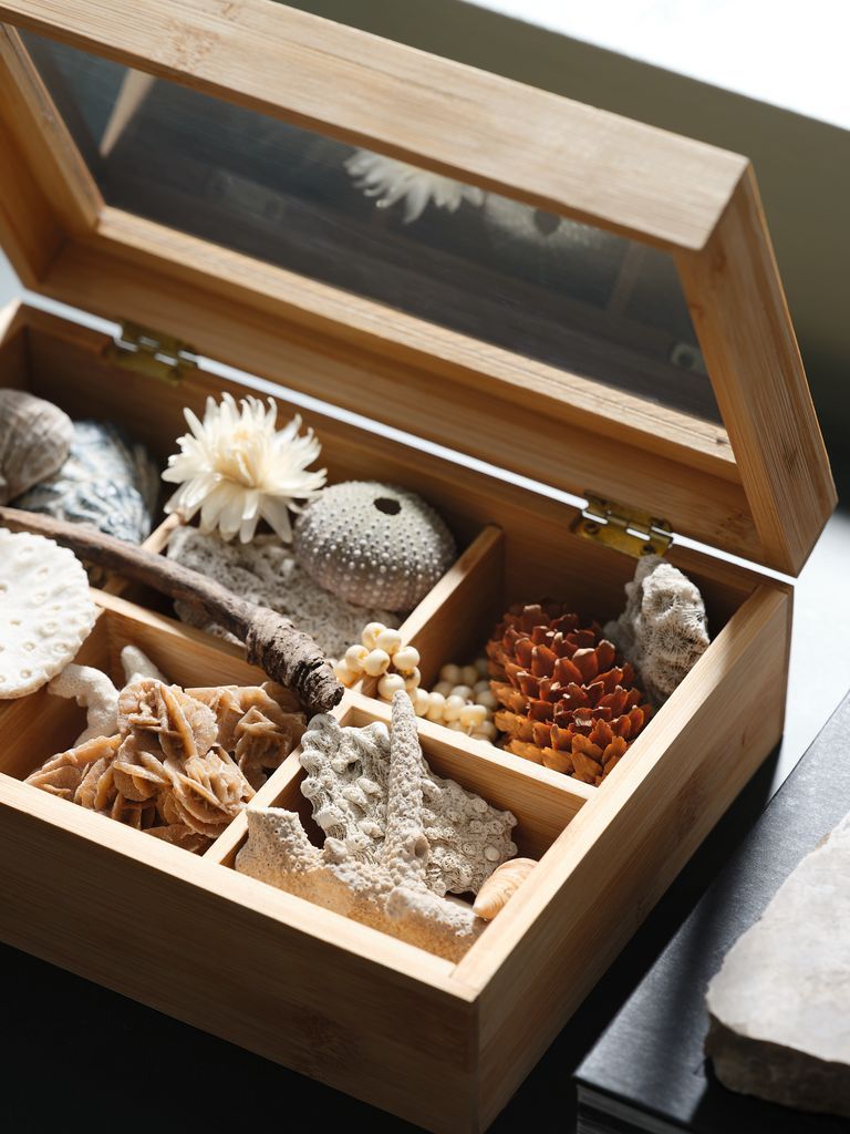 Hộp trà | STORM | nhựa acrylic/tre | màu tự nhiên | R17xD23xC8cm