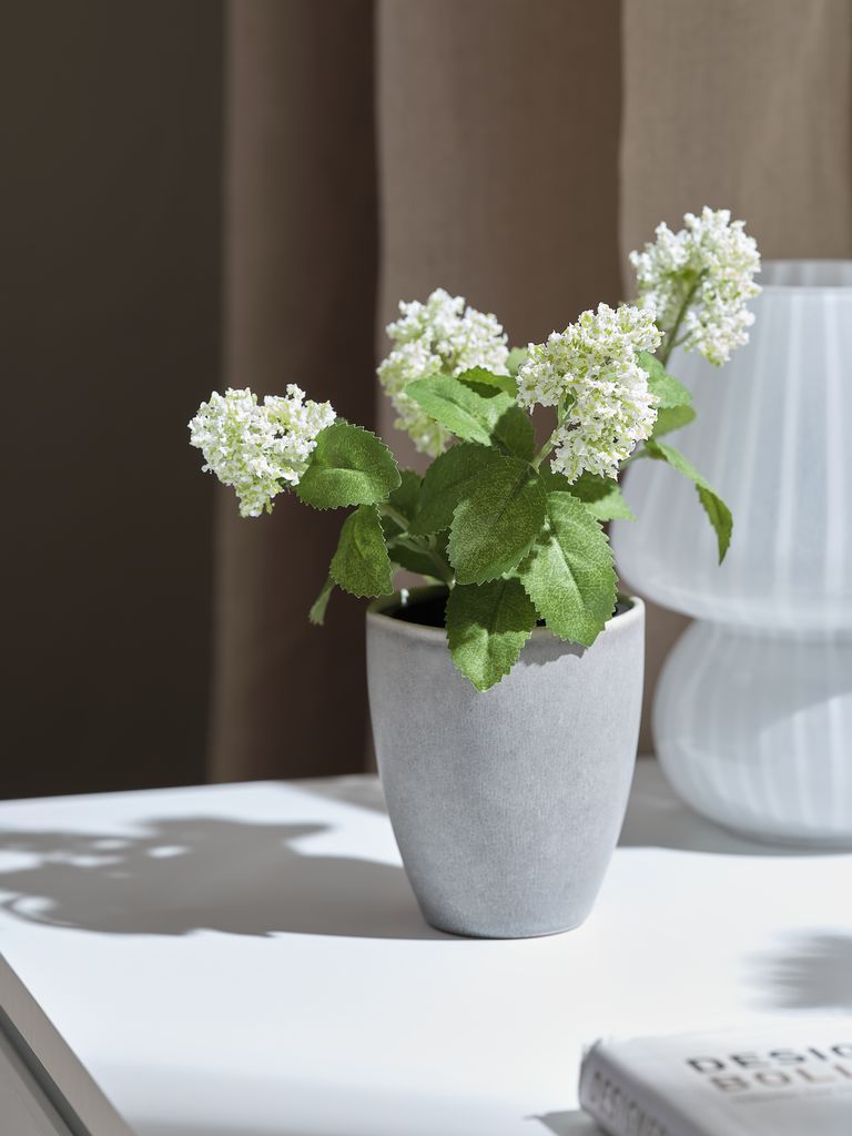 Cây trang trí | DANIEL | xi măng/polyester | đen/xanh lá | Ø10xC22cm