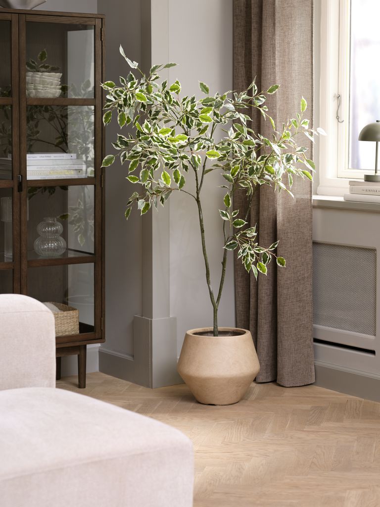 Cây trang trí | GUNNULF | nhựa PE/xi măng | xanh lá/đen | R65xD56xC150cm