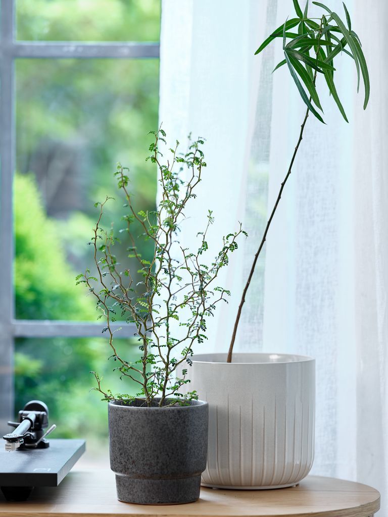 Chậu cây | KNUDSEN | gốm | màu tự nhiên | Ø20xC18cm