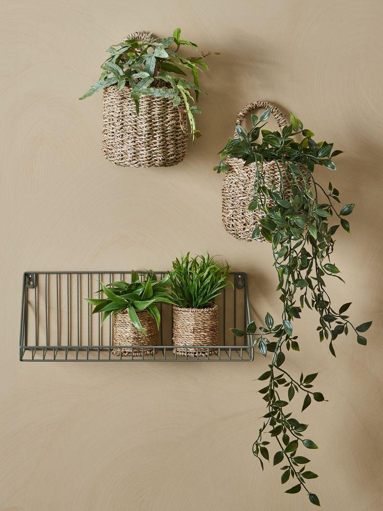 Cây trang trí | OLIVER | xi măng/nhựa PE | xanh lá | Ø10xC14cm