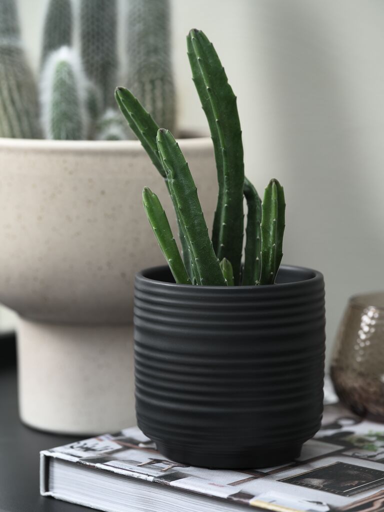 Chậu cây | HAMPUS | gốm | đen| Ø11xC11cm