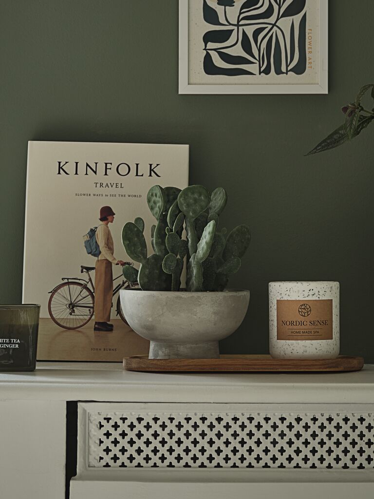 Cây trang trí | GILLIAN | xi măng/nhựa TPE | xanh lá/xám | Ø20xC22cm