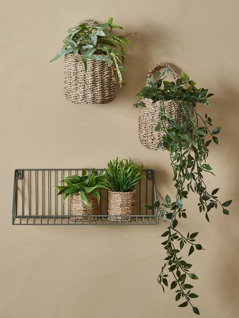 Cây trang trí | BERTRAM | nhựa PE/sợi cói | xanh/màu tự nhiên | Ø8xC18cm