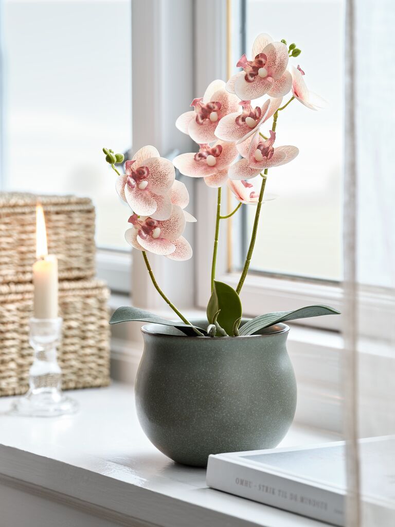 Cây trang trí | GUDJON | nhựa PE/thép | hồng | Ø9xC35cm