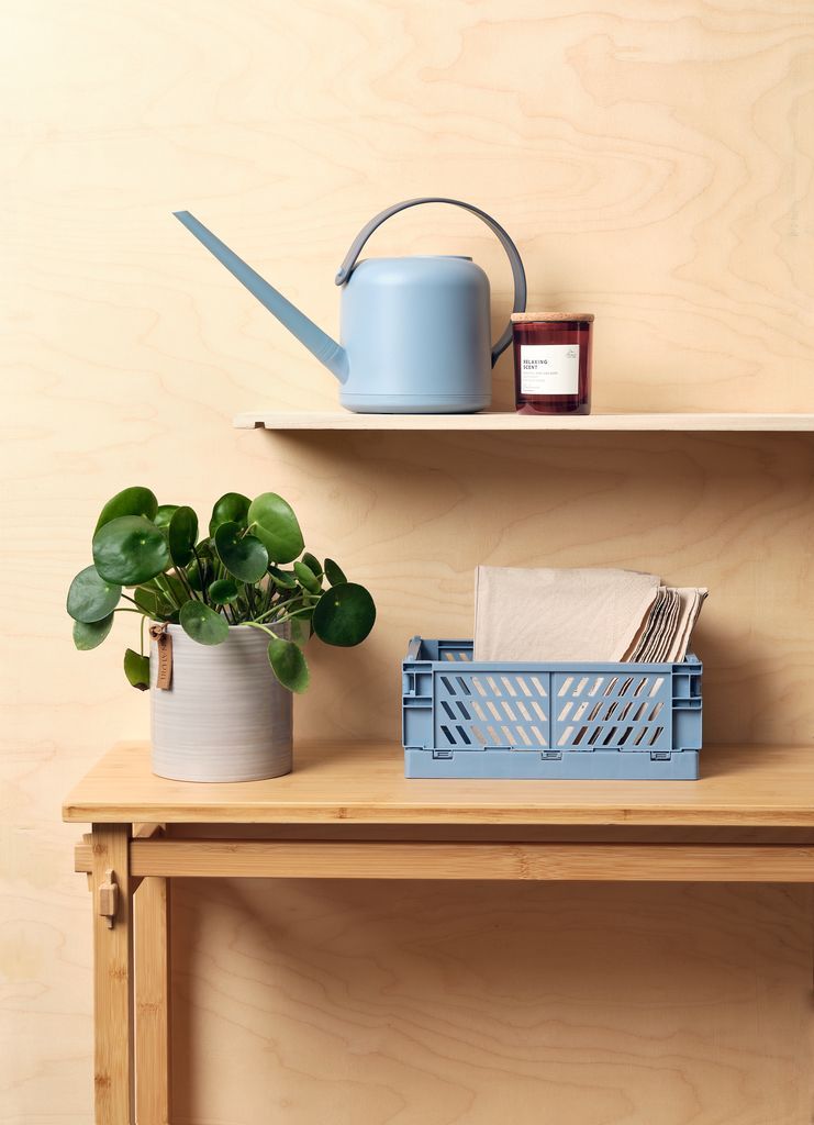 Bình tưới cây | AGATON | nhựa ABS | xám/xanh nhạt | R32xD13xC19cm | 1.7L