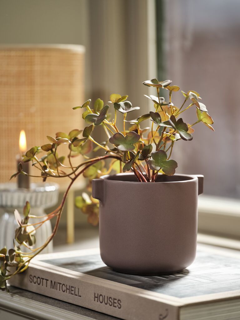 Chậu cây | ROBIN | gốm bán sứ | tím trầm | Ø12xC11cm