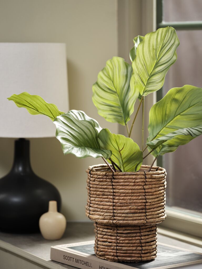C&acirc;y trang tr&iacute; | ROLF | nhựa PE/PP | xanh l&aacute; | &Oslash;35xC55cm