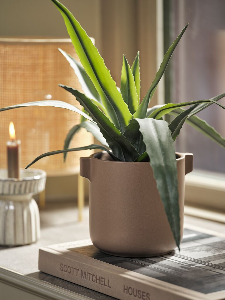 C&acirc;y trang tr&iacute; | CELIUS | nhựa PE/PP | xanh l&aacute; | &Oslash;30xC39cm