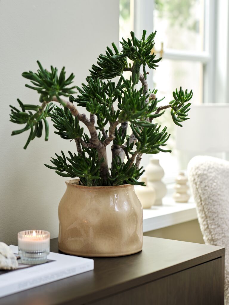 Chậu cây | RUDOLF | gốm | be | Ø15xC13cm