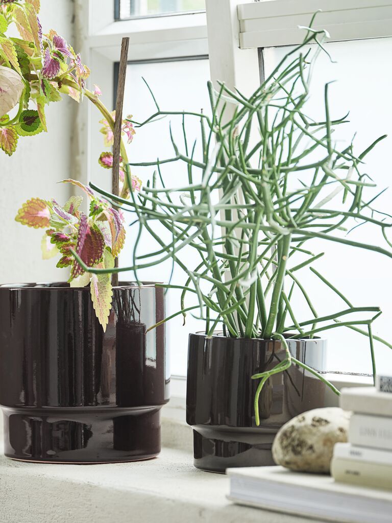 Chậu cây | JASPER | gốm | nâu đậm | Ø14xC13cm