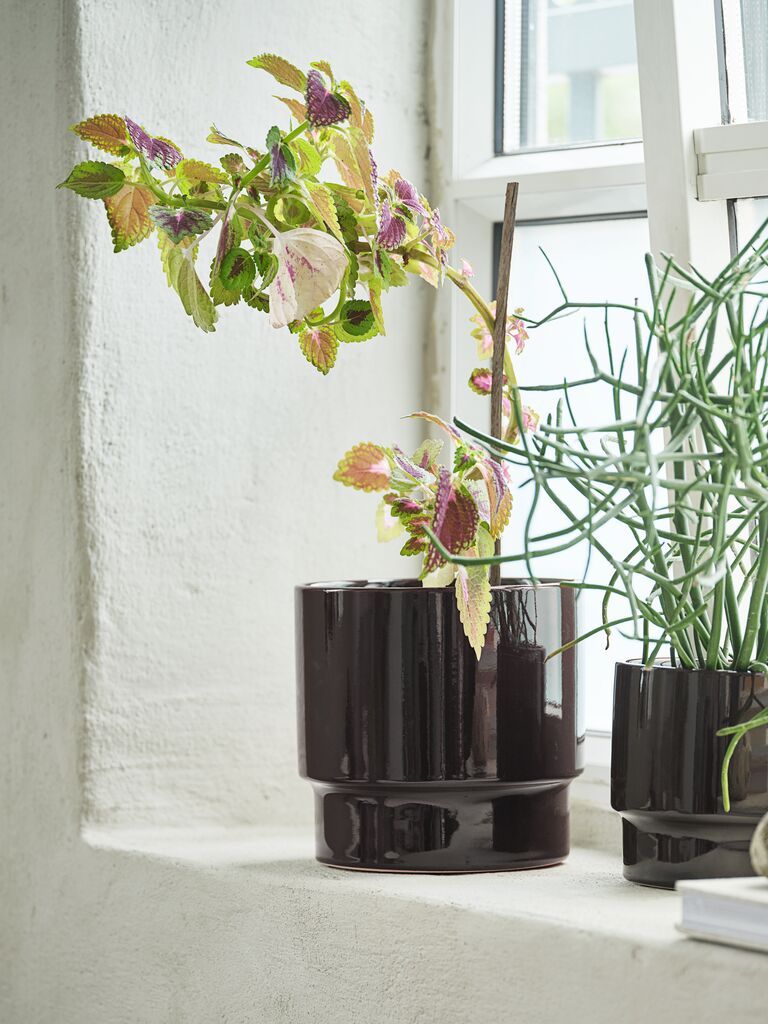 Chậu cây | JASPER | gốm | nâu đậm | Ø18xC18cm