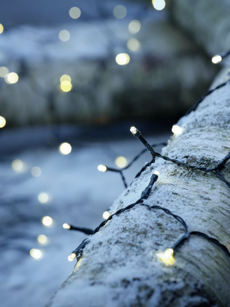 Đèn trang trí dây | BAUGE | đồng/nhựa | xanh đậm | 645cm | 120LED