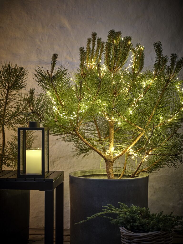 Đèn trang trí dây | LASURIT | nhựa PVC/đồng | màu trong suốt | D1000cm | 300LED