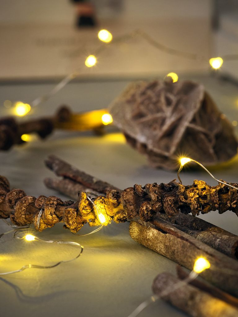 Đèn trang trí dây | GJALP | đồng/PVC | màu trong suốt | D390cm | 40LED