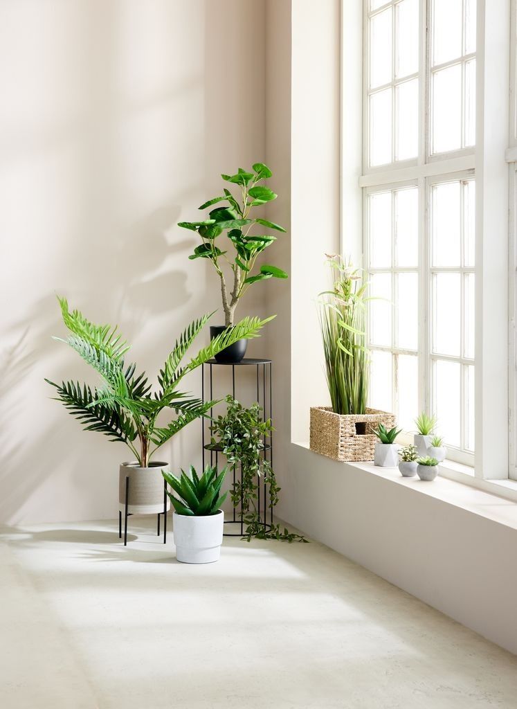 Cây trang trí | TJELD | nhựa PE/xi măng | xanh lá | C125cm