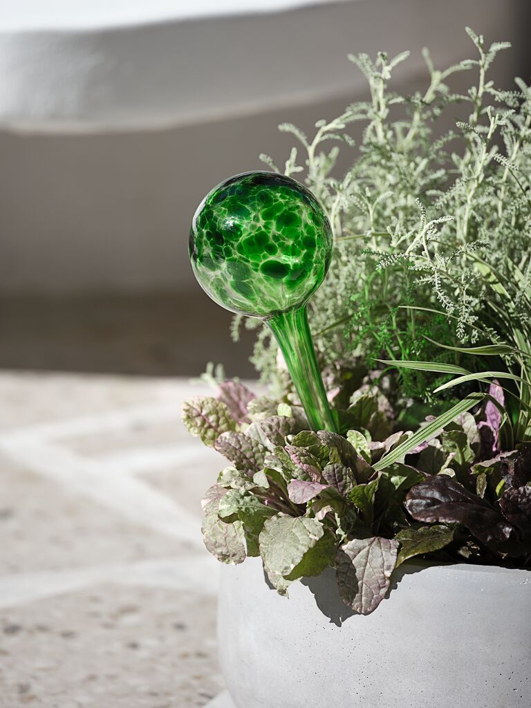 Dụng cụ tưới cây | RAVN | thủy tinh | xanh lá | Ø8xC30cm