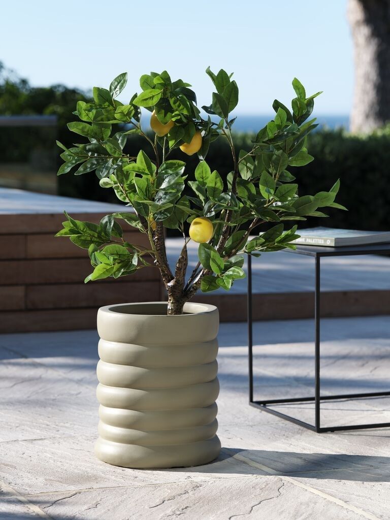 Cây trang trí | GRANSANGER | nhựa/xi măng | xanh lá | C95cm