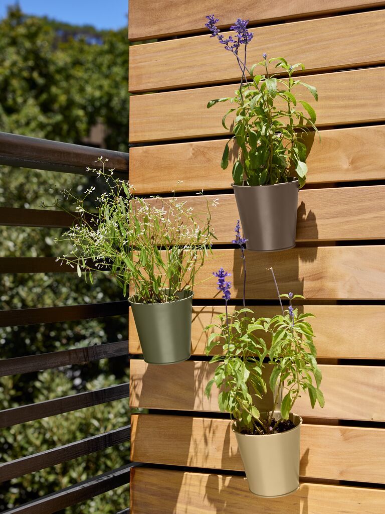 Chậu c&acirc;y ban c&ocirc;ng | BILLE | th&eacute;p | nhiều m&agrave;u | &Oslash;12xC19cm