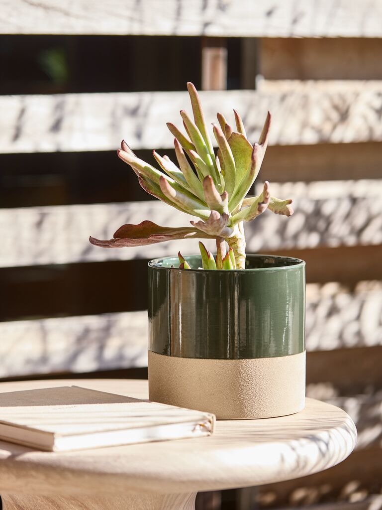 Chậu cây | KRAGE | gốm | màu tự nhiên | Ø16xC15cm