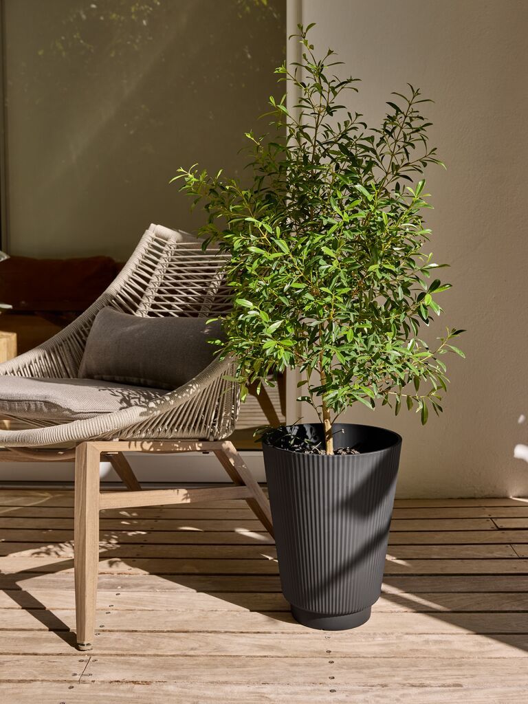 Chậu c&acirc;y | SANDLO | nhựa PP | đen | &Oslash;30xC38cm