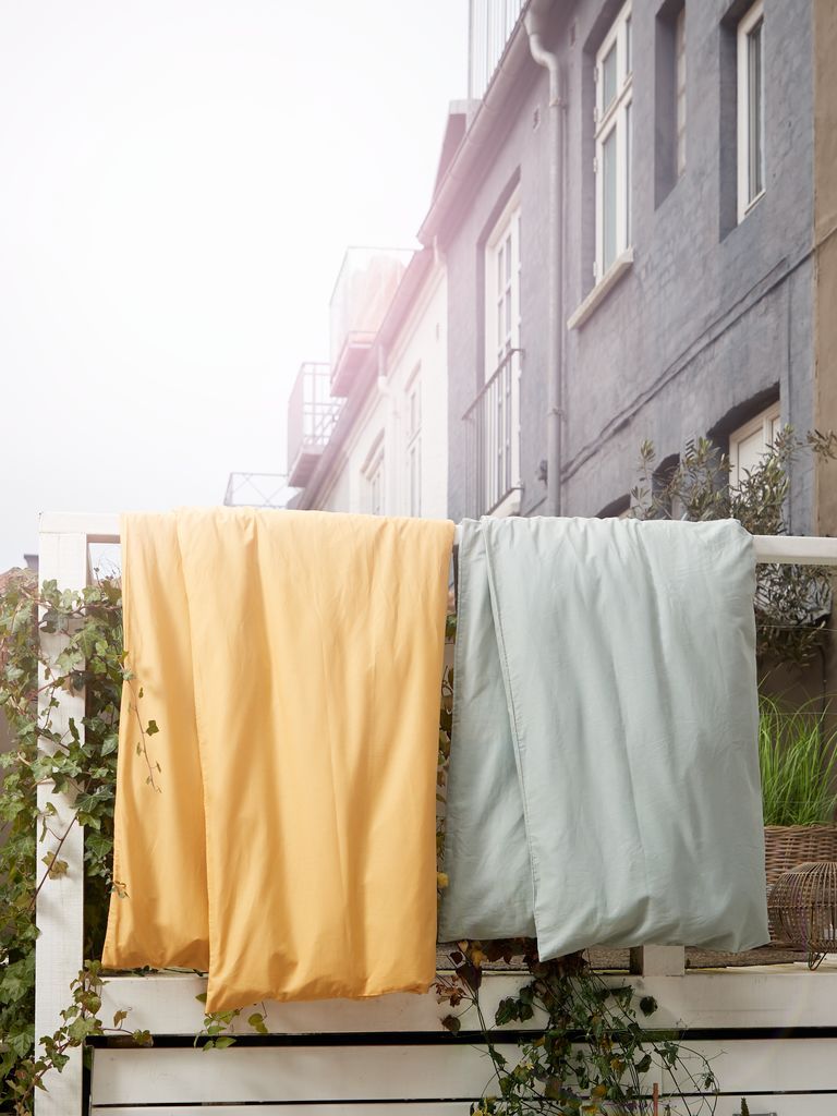 Bộ vỏ chăn gối đôi kèm ga cotton | ELLEN | xanh lá | R200xD220cm/R240xD260cm/R50xD70cm