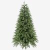 Danh mục Cây thông & Đồ trang trí Hình ảnh