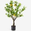 Danh mục Phụ kiện Hình ảnh