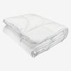 Danh mục Ruột chăn polyester Hình ảnh